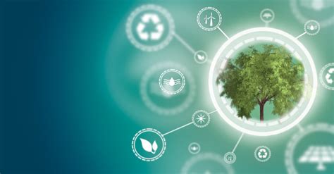 Towards A Sustainable Future Circular Economy In And Beyond