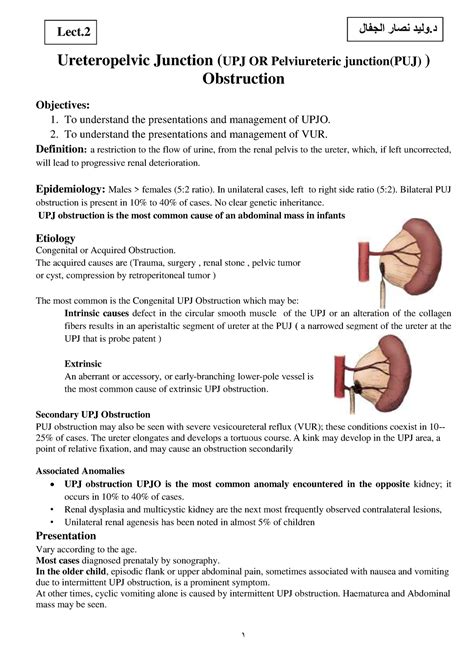 Ureteropelvic Junction Upj Or Pelviureteric Junction Puj Obstruction Ureteropelvic