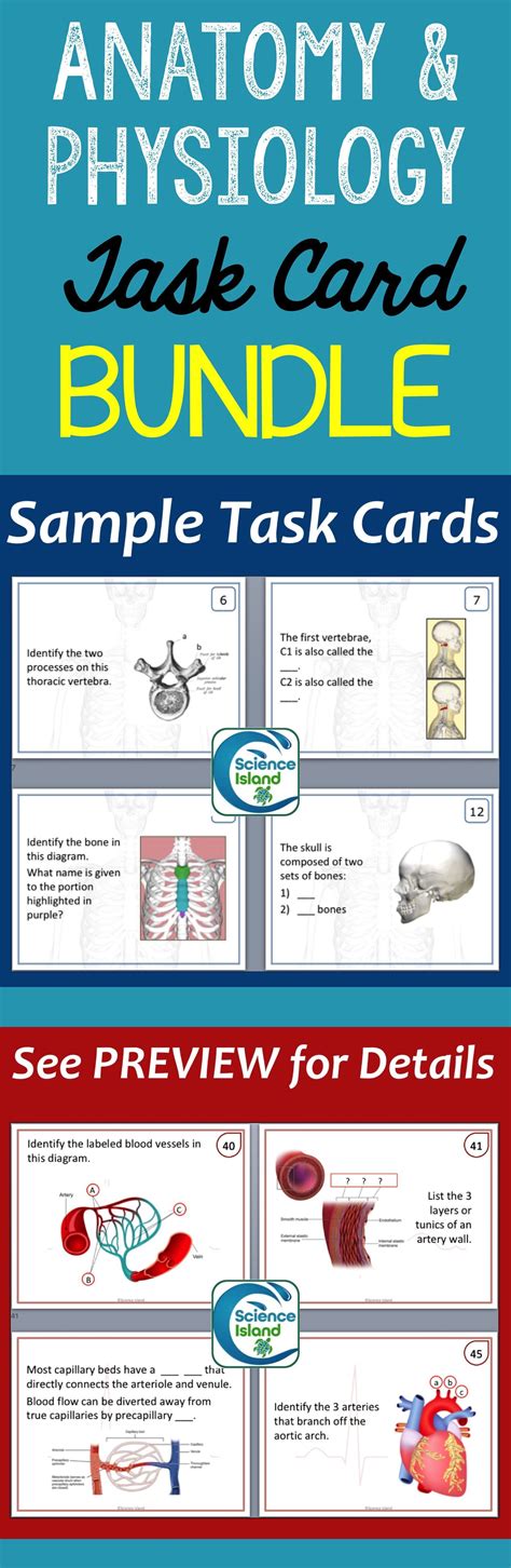 Anatomy And Physiology Task Card Bundle Print And Digital Activities Anatomy And Physiology