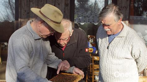 Bei den Imkern beginnt das Bienenjahr Frühjahrs Check am Bienenstock