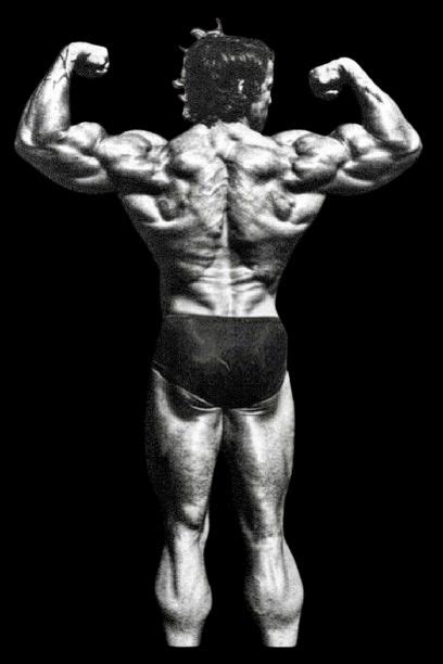 Arnold Schwarzenegger - Back Double Biceps - Golden Era (1960-1989 ...