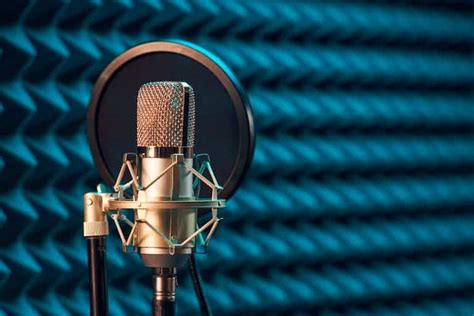 Pop Filter Vs. Windscreen: Which Is Better For Streaming? - Home Studio ...