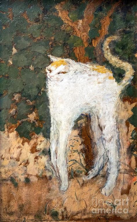 Pierre Bonnard The White Cat Le Chat Blanc Painting By Wilkinson Fred