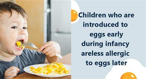 Eating Eggs During Infancy Reduces Egg Allergy Later