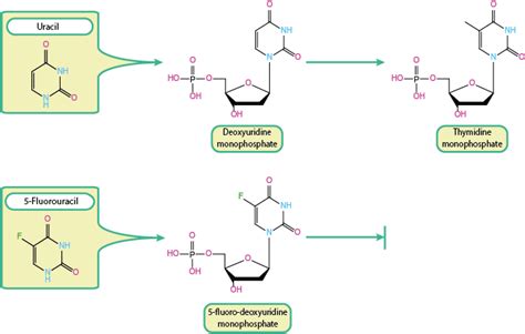 Chemical Principles