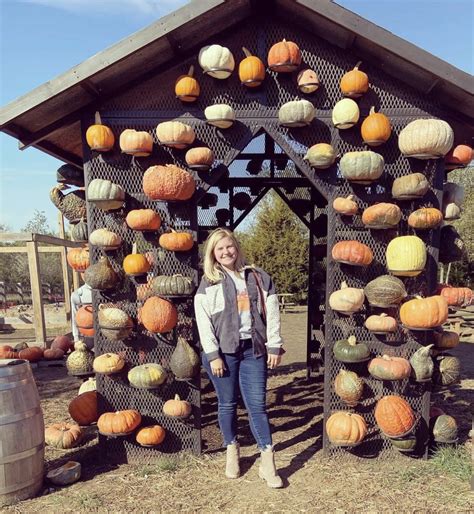 Photo Ops — Kc Pumpkin Patch