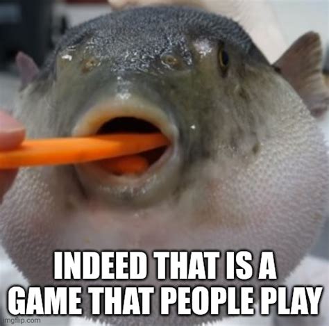 Pufferfish Eating Carrot Imgflip