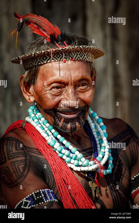 Head Of The Asurini Indigenous Tribe In The Brazilian Amazon Xingu