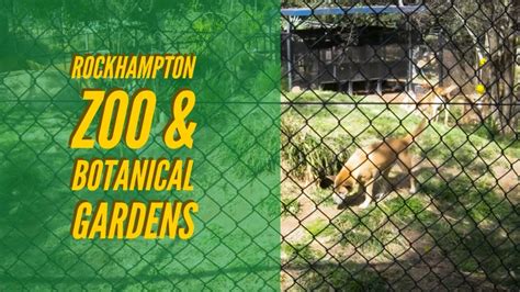 Tour Around Australia Episode 11 Rockhampton Zoo And Botanical Gardens