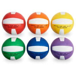 Nasco Colored Volleyballs Set Of