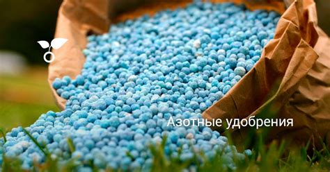 Азотные удобрения. Виды. Польза и вред. Правила внесения — Ботаничка