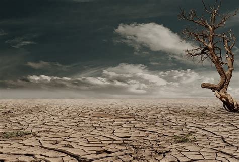 Causes and Effects of Drought | Earth Eclipse