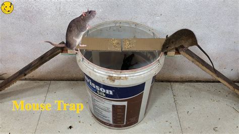 Idea Mouse Trap How To Make Home Made Mouse Trap Work Easy Saving 8