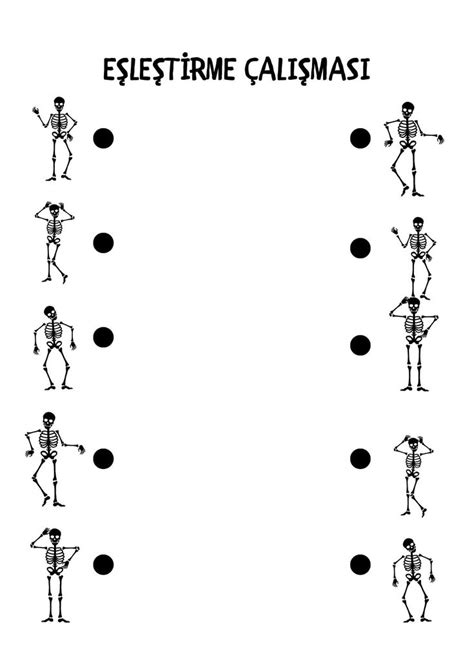 Okul Öncesi İskelet Sistemi Eşleştirme Çalışması 2024 Yazı
