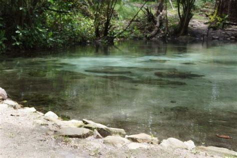 Kapishya Hot Springs Hot Springs Travel Abroad Future Travel
