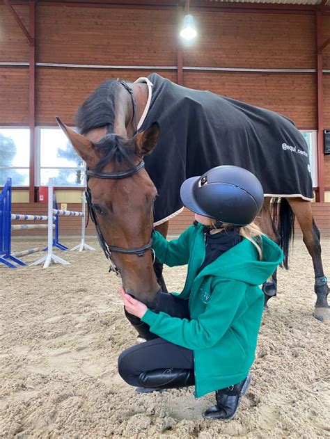 Пин на доске Horse Конкур Фото с лошадьми Лошади