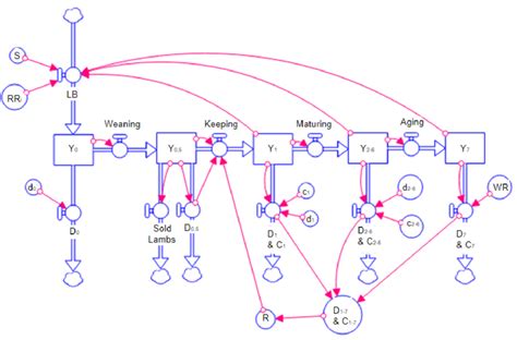 2 Simplified Diagram Of The Flock Dynamics Module Where Each Age