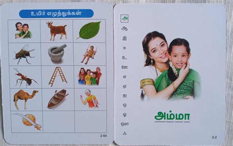 Jumbo Flash Cards Tamil Alphabets