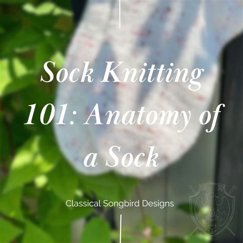 Sock Knitting 101 Anatomy Of A Sock — Classical Songbird Designs