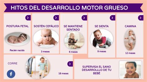 Hitos Del Desarrollo Motor Grueso