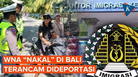 WNA Langgar Peraturan Di Bali Diancam Deportasi YouTube