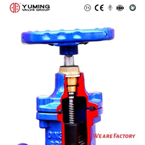 DIN F5 Gate Valve Sluice Valve Wholesale Factory OEM Factory Custom