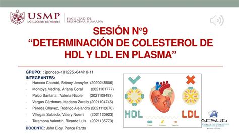 Determinaci N De Colesterol De Hdl Y Ldl En Plasma Mariana Zarelly