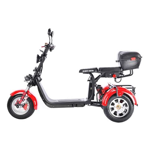 Three Wheels Big Tire Adult Tricycle Citycoco 3 Wheel Electric Scooter