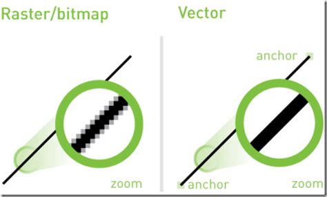 Qual A Diferen A Entre Vetor E Bitmap