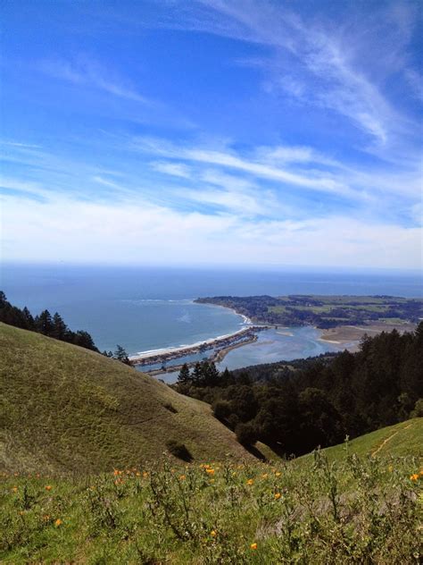 GOLDEN DREAMLAND: Favorite Hike: Mount Tamalpais