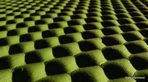 shape photography examples jacoblillengreen