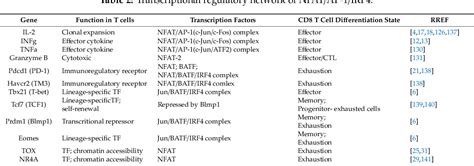 Figure 1 From The Multifaceted Output Of C Jun Biological Activity