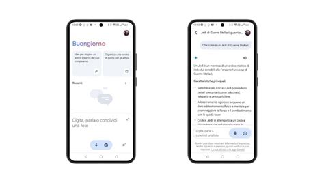 Guida Per Scaricare E Installare Google Gemini In Italiano Idealight It