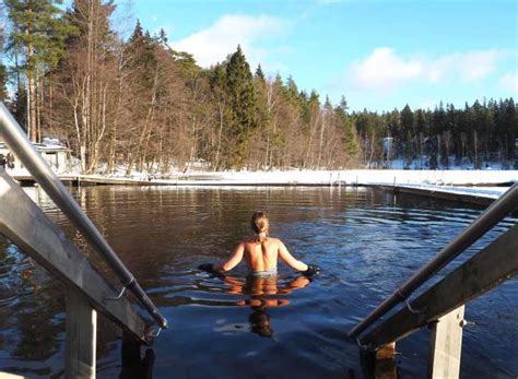 From Helsinki Hike And Sauna In Sipoonkorpi National Park GetYourGuide