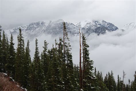 Free Images Tree Wilderness Snow Winter Cloud Mountain Range