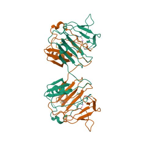 Rcsb Pdb 4qvs 21 Angstrom Resolution Crystal Structure Of S Layer