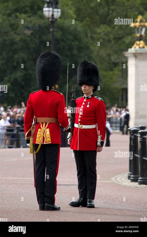 Grenadier Guards Lining The Mall Trooping The Colour Color 2023 Stock