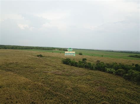 Mato Grosso Fazendas Hectares Venda No Vale Do Araguaia Mt