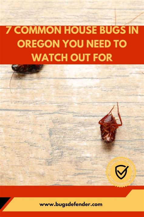 7 Common House Bugs In Oregon You Need To Watch Out For