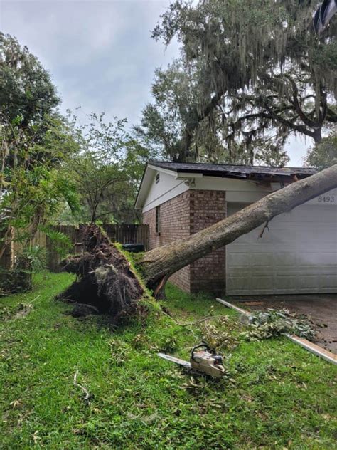 Expert Land Clearing Services In Jacksonville