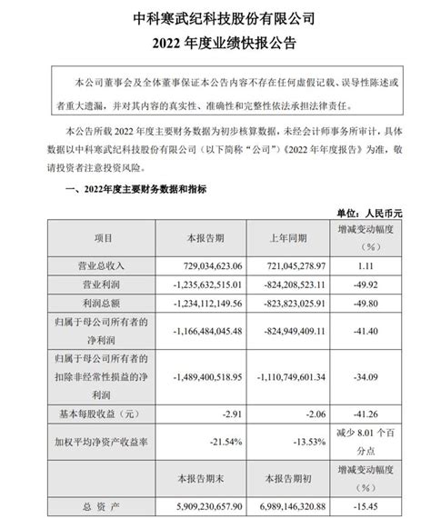 过去5年累计亏损超36亿寒武纪否认“恶意裁员”