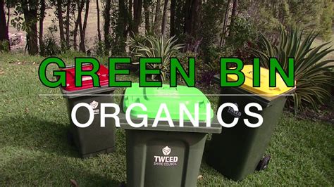 What Goes In The Green Organics Bin Youtube