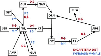 Modulation Of Rat Liver Urea Cycle And Related Ammonium Metabolism By