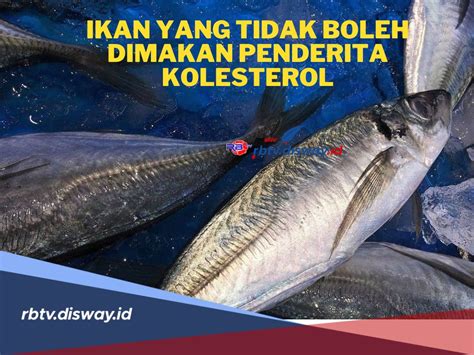 Berbahaya Jenis Ikan Yang Tidak Boleh Dimakan Bagi Penderita