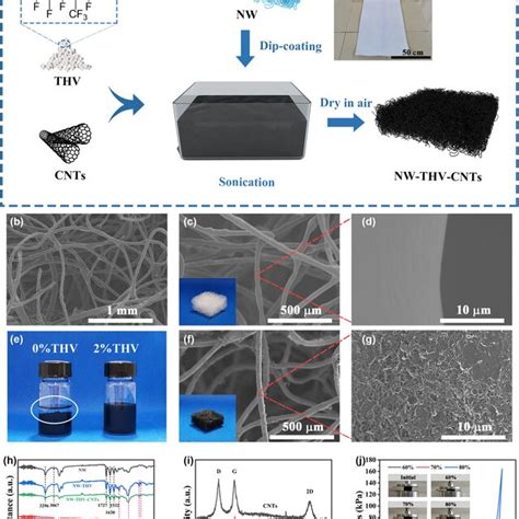 Fabrication Process And Characterization Of The NW THV CNTs A