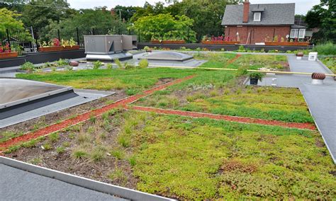 5 Green Roof Benefits that Make This Trend The Next Big Thing | CRS Roofing