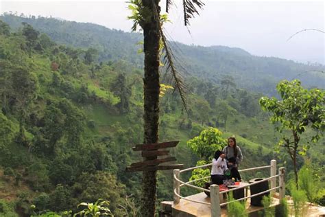 Usai Nyepi Wisata Tosari Bakal Ramai Lagi Radar Bromo