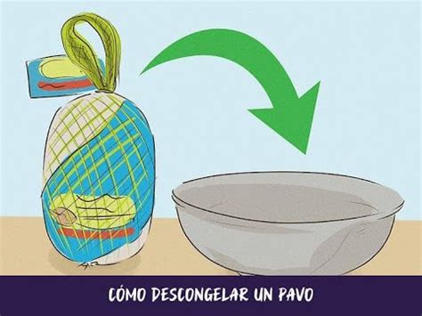 Cómo descongelar un pavo YouTube