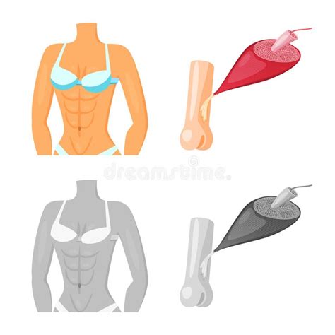 Conception De Vecteur De Fibre Et De Signe Musculaire Collection D Ic