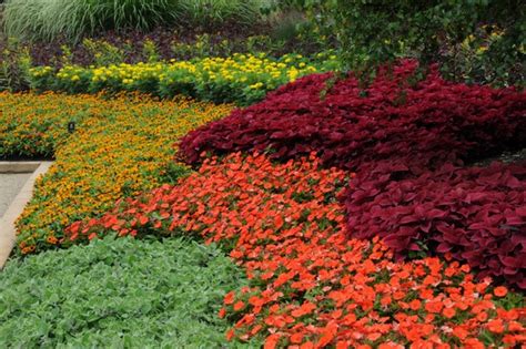 Aspectos a Tener en Cuenta para Saber qué Plantar en Cada Lugar Más